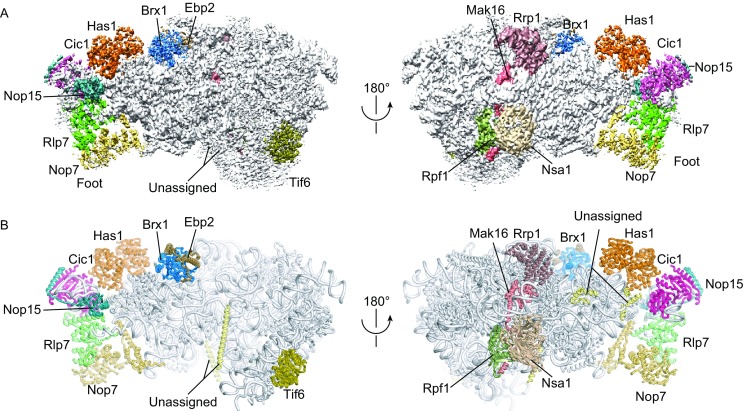 Figure 1