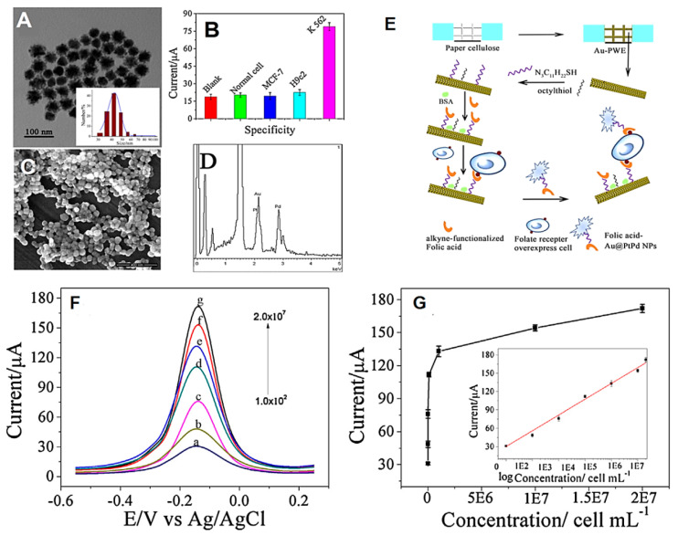 Figure 15