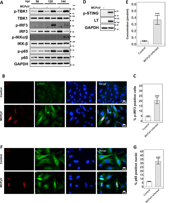 FIG 3