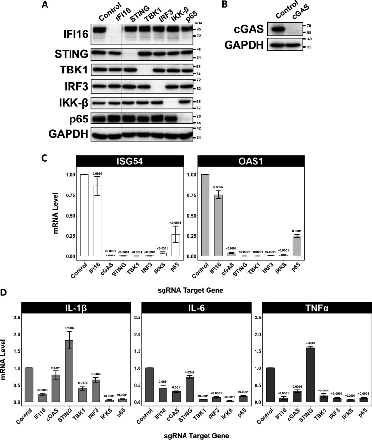 FIG 4