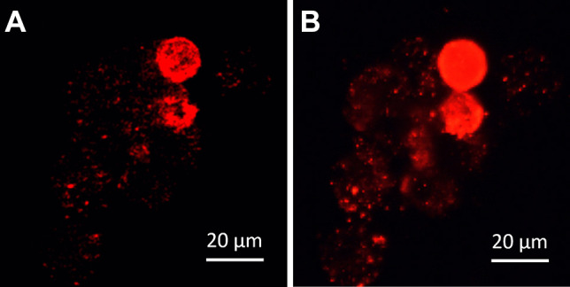 Fig. 9