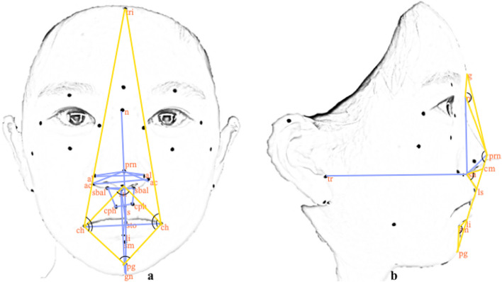 Fig. 3