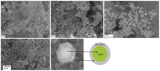 Fig. 7