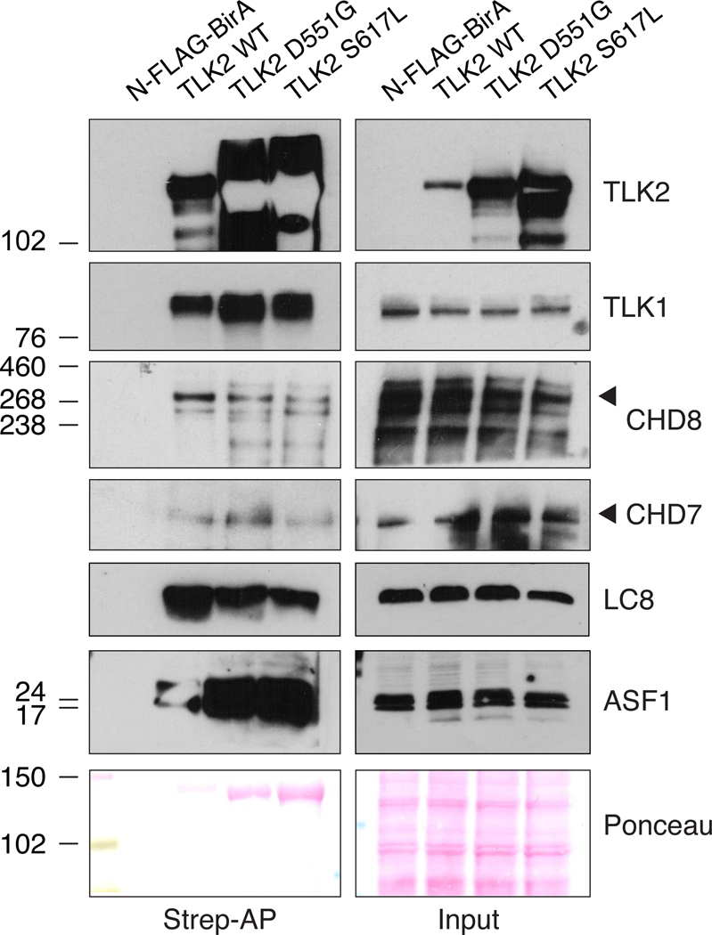 Figure 6: