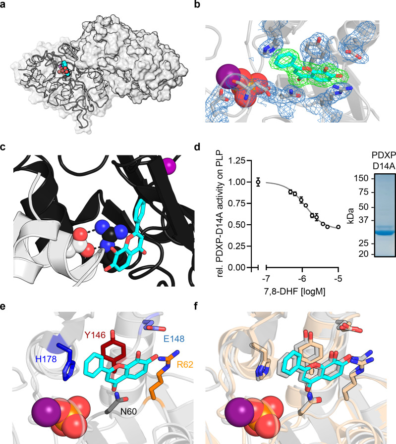 Figure 3—figure supplement 1.