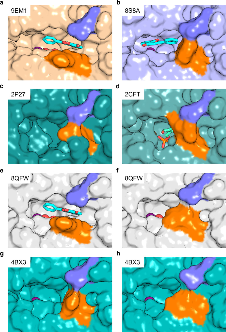 Figure 3—figure supplement 4.