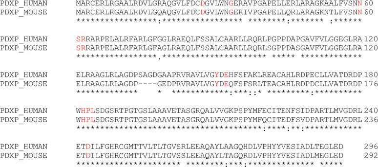 Figure 3—figure supplement 3.