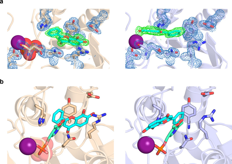 Figure 3—figure supplement 2.