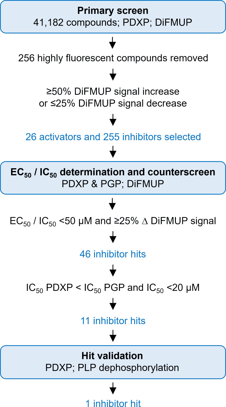 Figure 2—figure supplement 1.