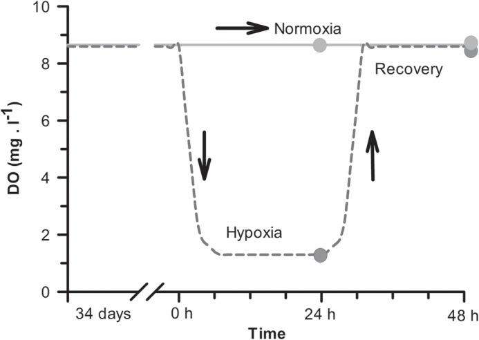 Fig. 6.