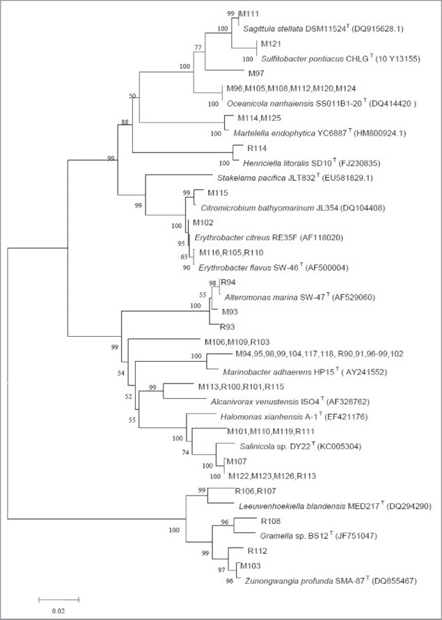 Figure 4.