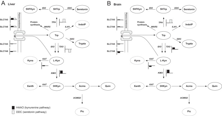 FIGURE 3.