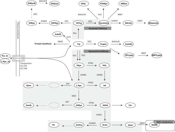 FIGURE 1.