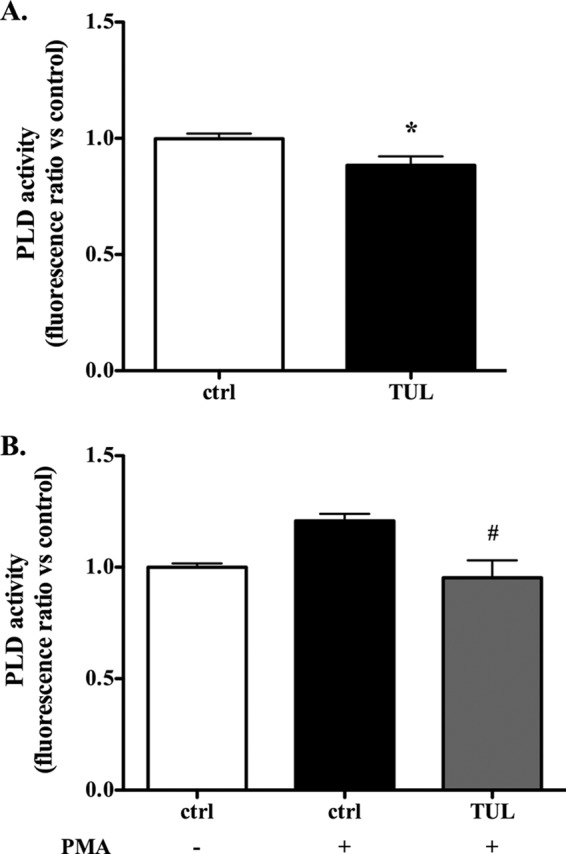 FIG 8