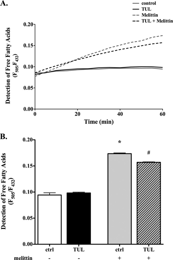 FIG 4