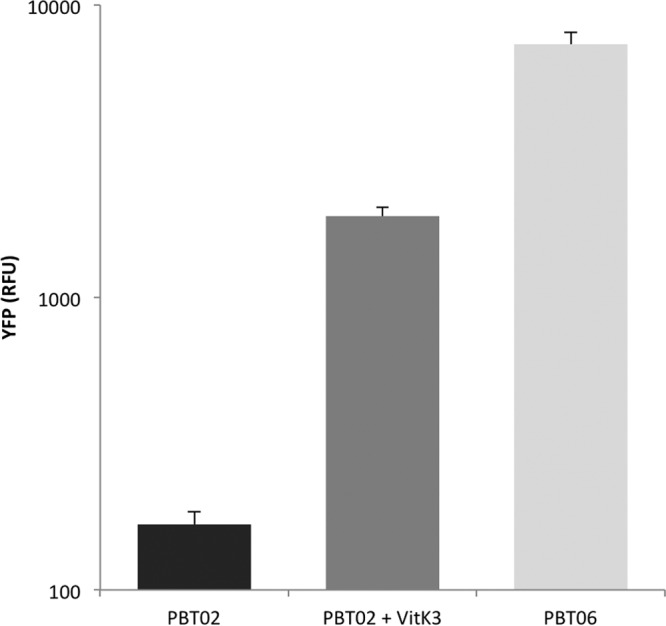 FIG 2