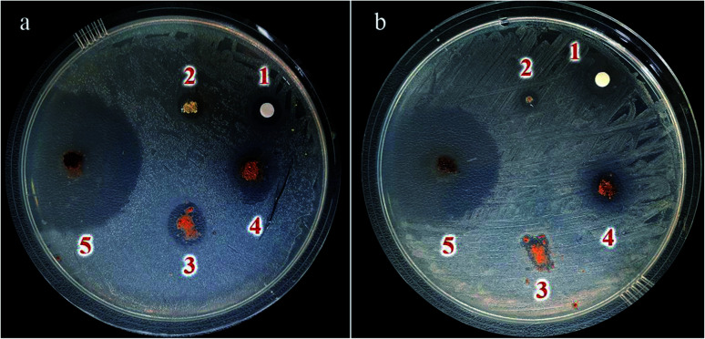 Fig. 11