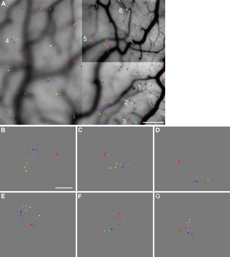 Fig. 5