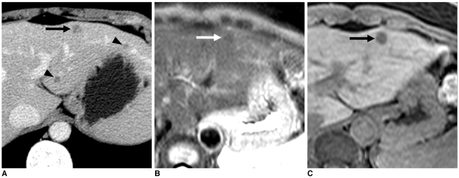 Fig. 9