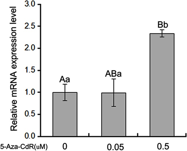 Fig 5