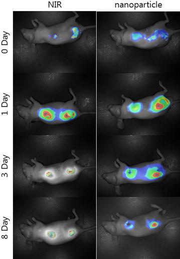 Fig. 7