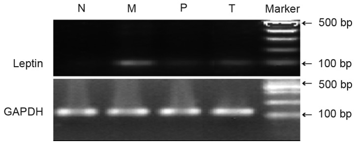 Figure 3.