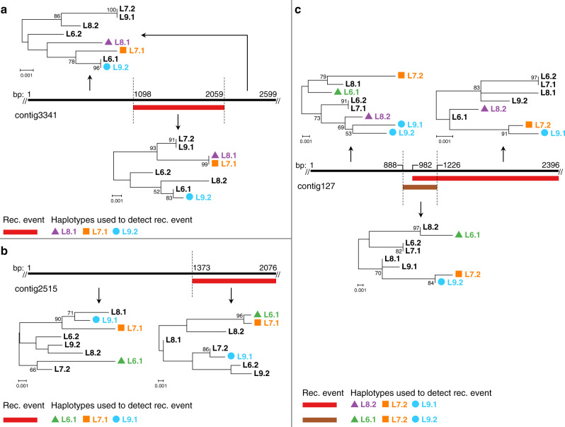 Fig. 6