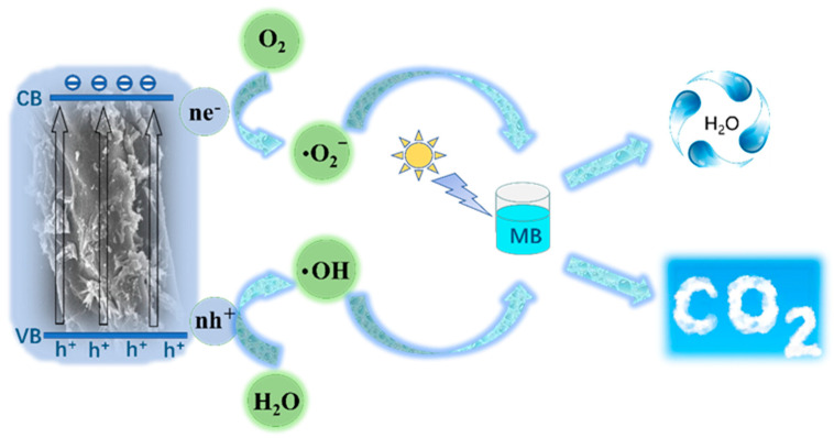 Figure 10