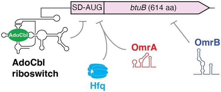 Graphical Abstract