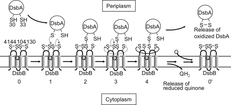 FIG. 4.