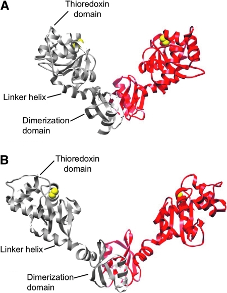 FIG. 7.