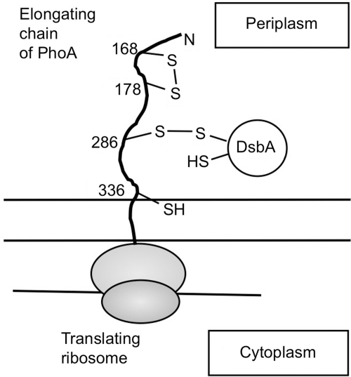 FIG. 8.