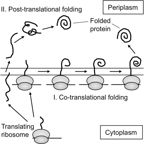 FIG. 9.