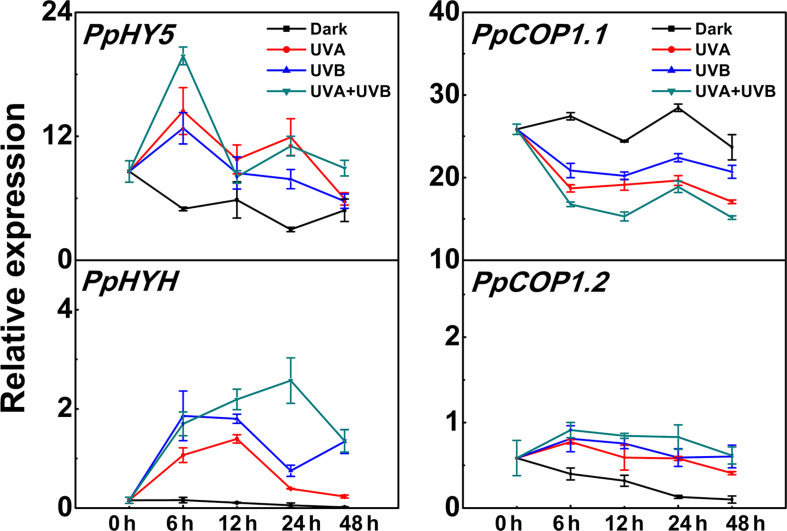 FIGURE 3