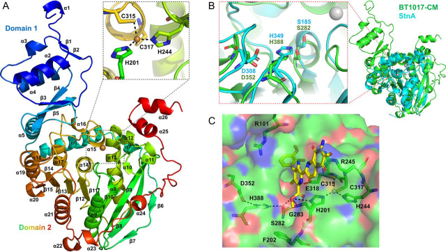 Figure 6