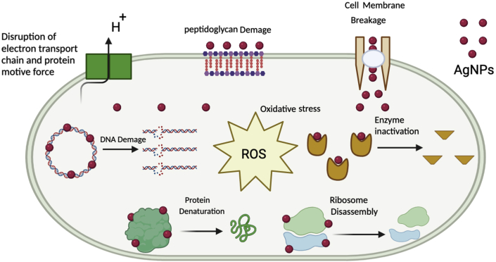 Figure 3