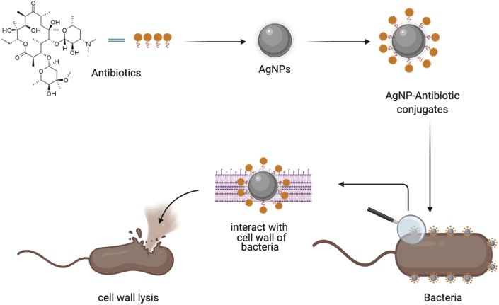 Figure 4