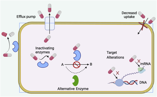 Figure 2