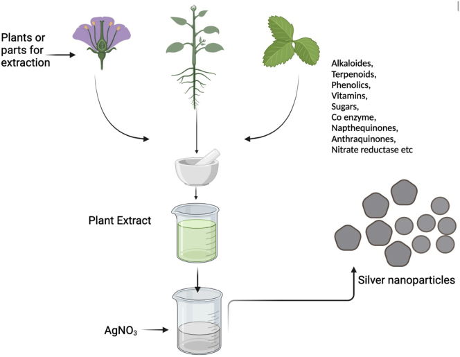 Figure 1