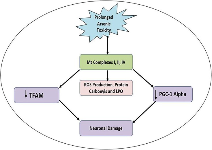 Fig. 5