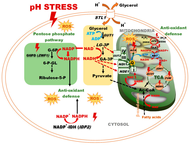 Figure 7