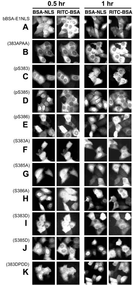 FIG. 5.