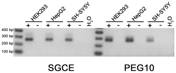 Figure 10