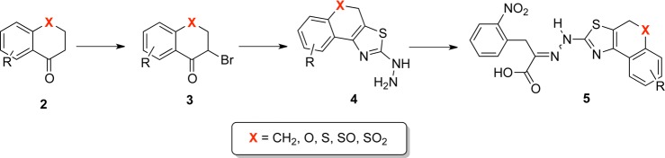 Scheme 2