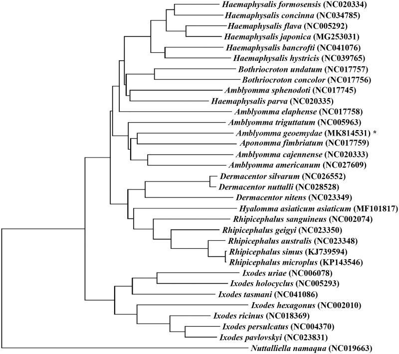 Figure 1.