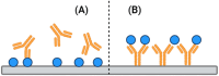 Figure showing two different modes of surface plasmon resonance experimental protocols, including immobilised antigen in assay A, and immobilised antibody in assay B.