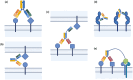 Figure showing multispecific antibody in cis and in trans binding modes.