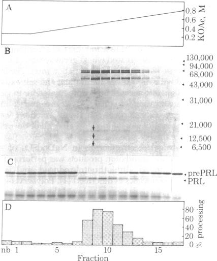 graphic file with name pnas00499-0176-b.jpg