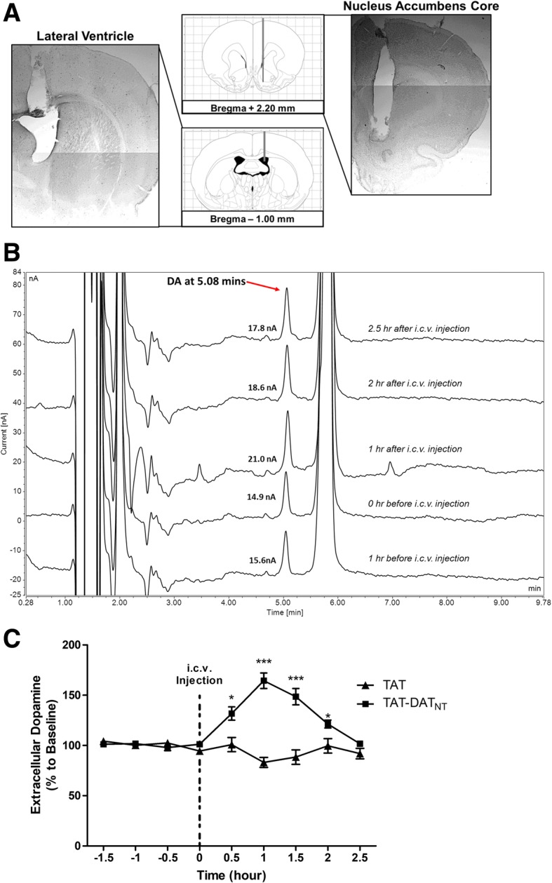 Fig. 3