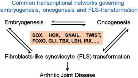 graphic file with name nihms-1525218-f0001.jpg